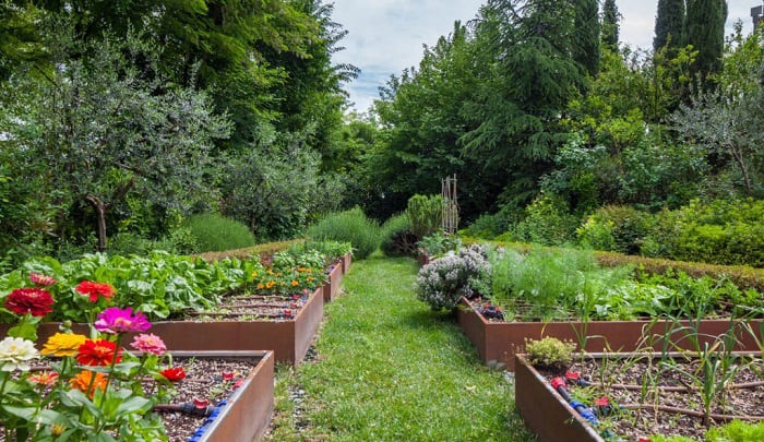 are-raised-garden-beds-better