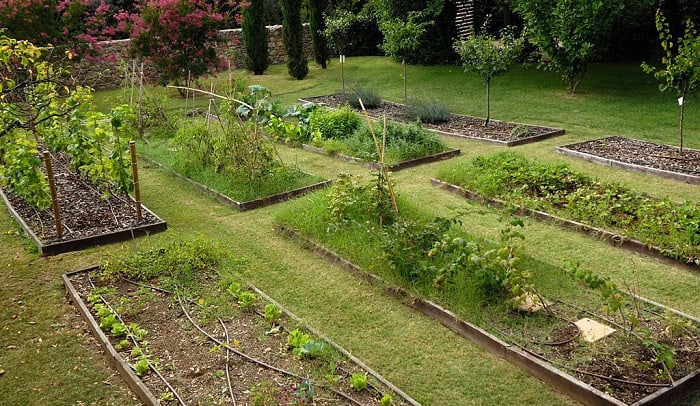 raised-beds-vs-in-ground