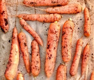 store-carrots-long-term