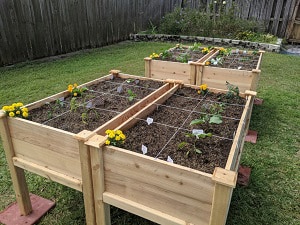 under-raised-garden-beds