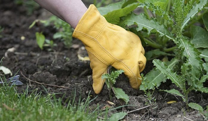 how to soften leather gardening gloves