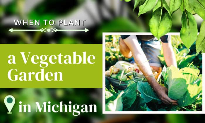 when to plant a vegetable garden in michigan