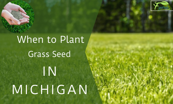 when to plant grass seed in michigan