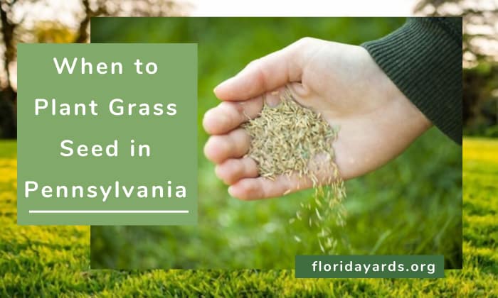 when to plant grass seed in pennsylvania