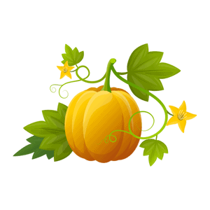Pumpkin-calendar