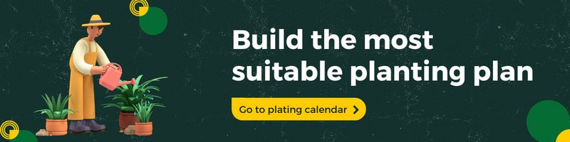 build-the-most-suitable-planting-plan
