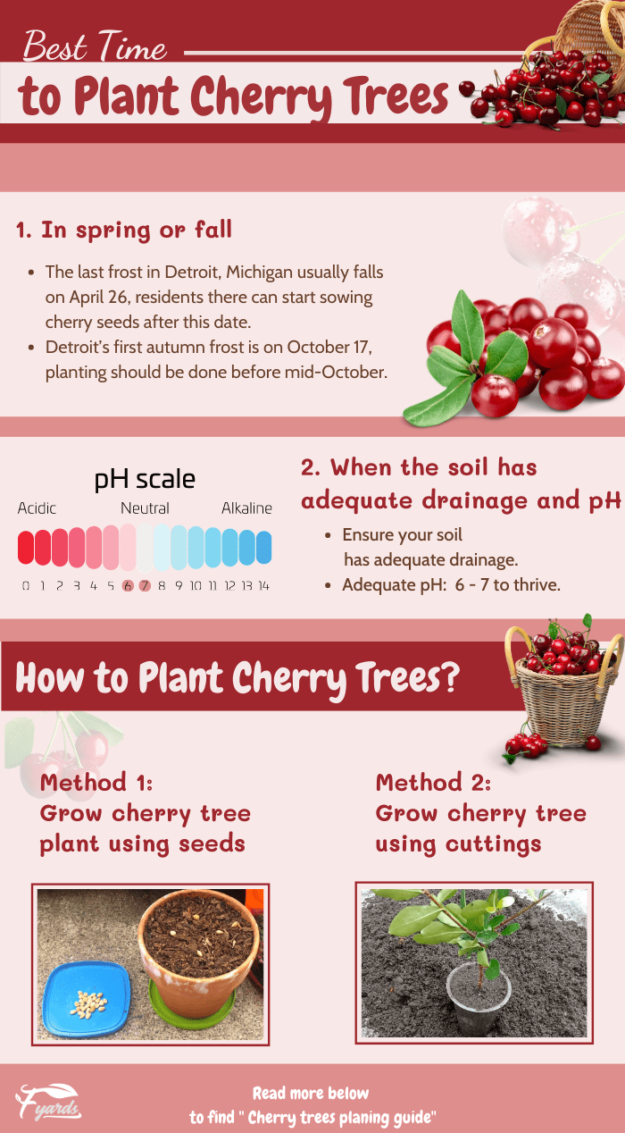 need-2-cherry-trees-to-produce-fruit