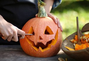 best-time-to-plant-pumpkins-for-halloween