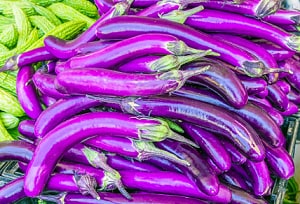 eggplant-ready-to-harvest
