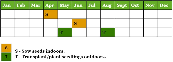 seed-starting-calendar