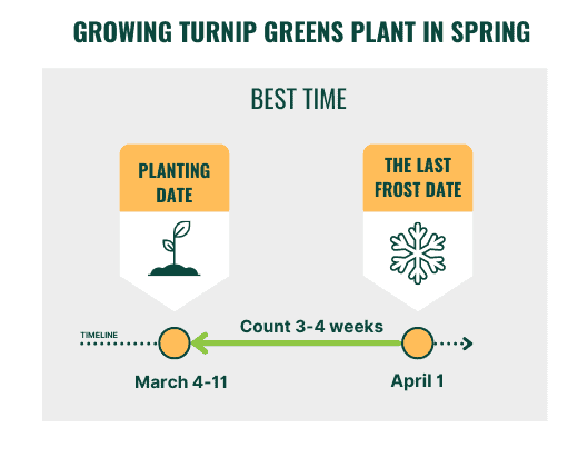 spring-planting-in-tennessee-best-time
