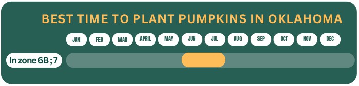 pumpkin-planting-time