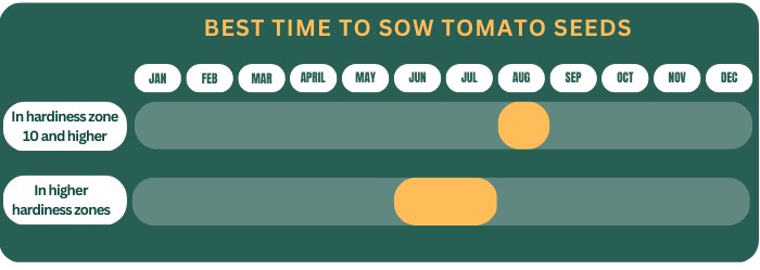 time-of-year-to-plant-tomatoes