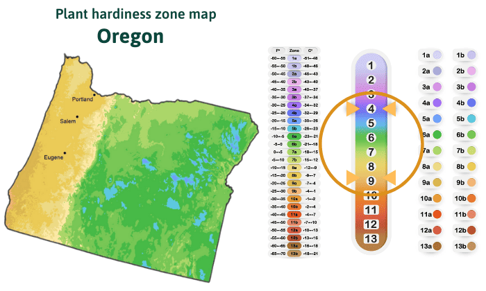 Plant-hardiness-zone-map-in-Oregon