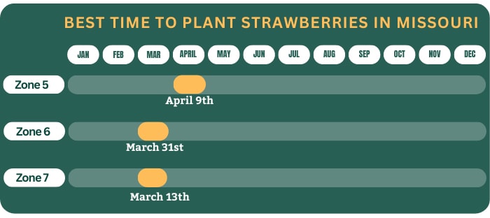 best-strawberries-to-grow