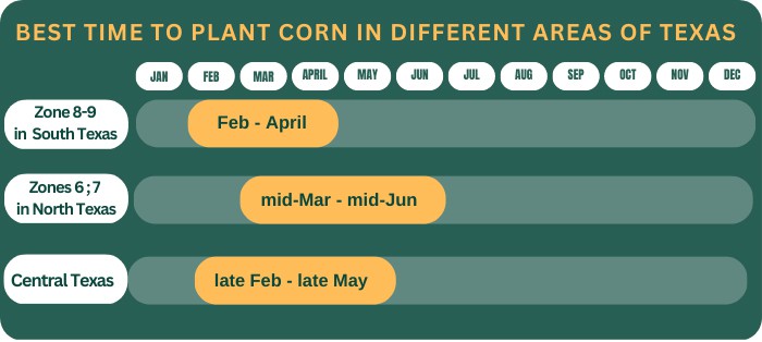 corn-growing-season
