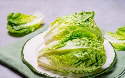 growing-romaine-lettuce