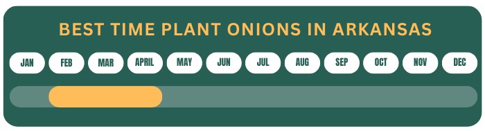 best-time-plant-onions-in-arkansas