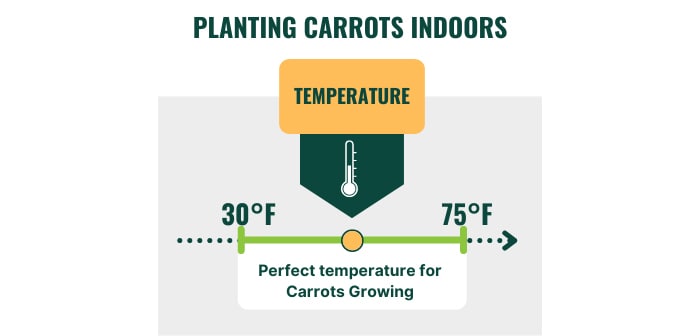 gardening-carrots-indoors-zone-7