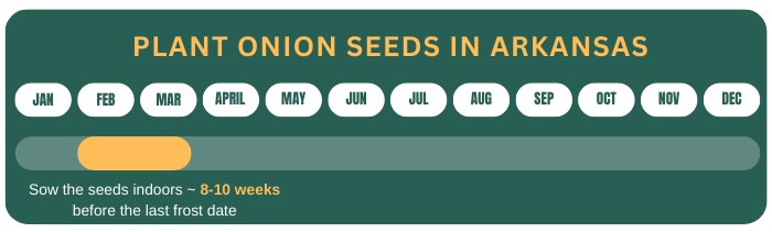 plant-onion-seeds-in-arkansas