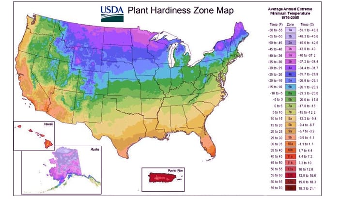 zones-map-for-planting-zoysia-plugs