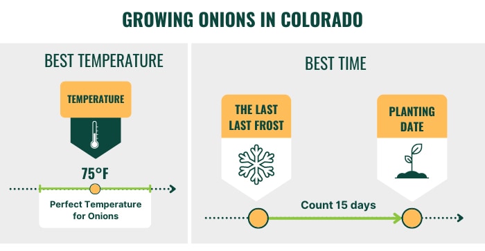 best-time-to-plant-onions-in-colorado