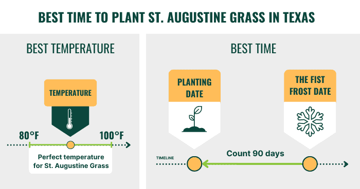 best-time-to-plant-st.-augustine-grass-in-texas
