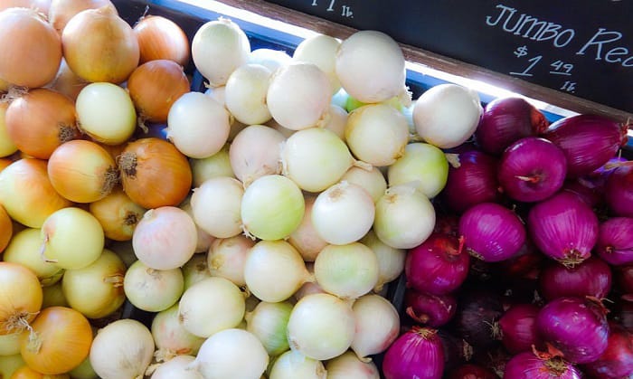 onion-varieties-to-plant-in-colorado