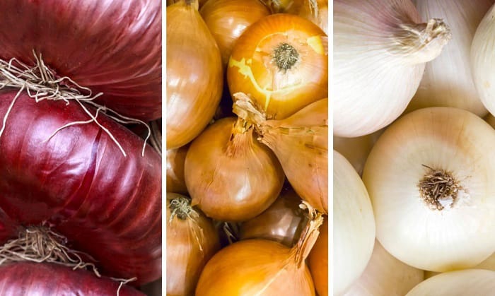 onion-varieties