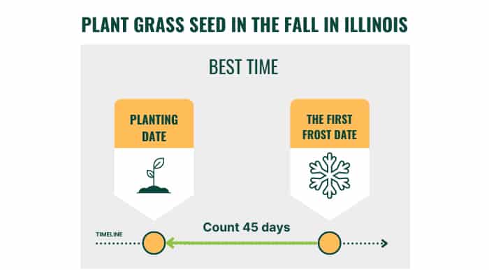 plant-grass-seed-in-the-fall-in-illinois