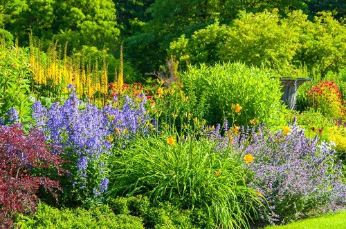 planting-perennial-garden
