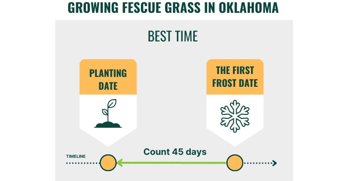 the-estimated-time-to-plant-fescue-in-oklahoma