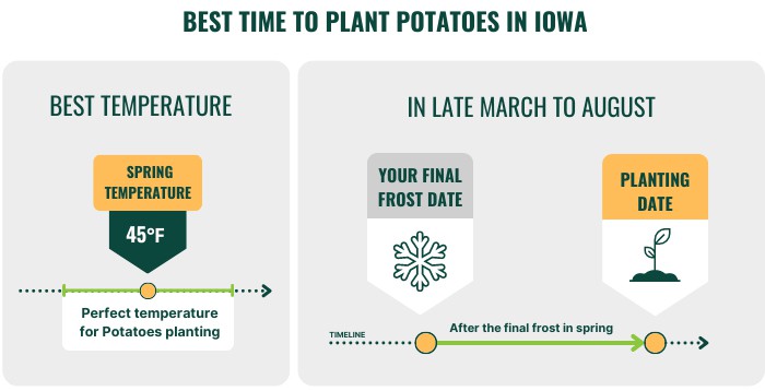 best-time-to-plant-potatoes-in-iowa