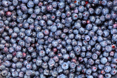 blueberry-varieties-that-suit-north-carolina’s-climate