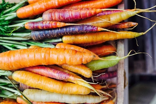 carrot-varieties-suitable-in-north-carolina
