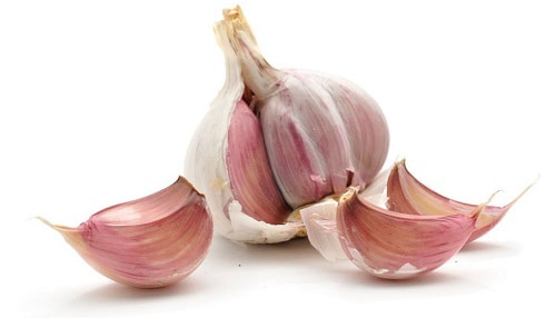 garlic-planting-tips