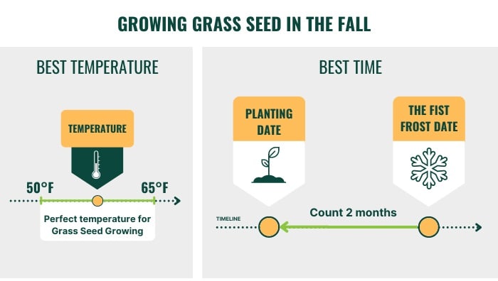 growing-grass-seed-in-the-fall-in-indiana