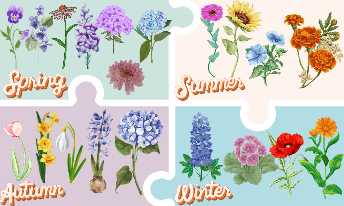 plant-flower-depending-on-the-season-in-Ohio