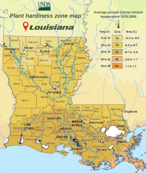 plant-hardiness-zone-map-in-Louisiana