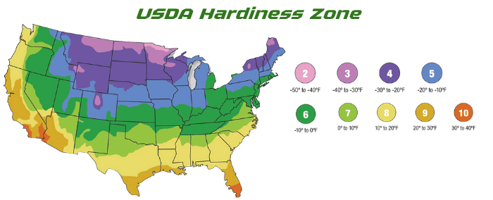 usda-hardiness-zone