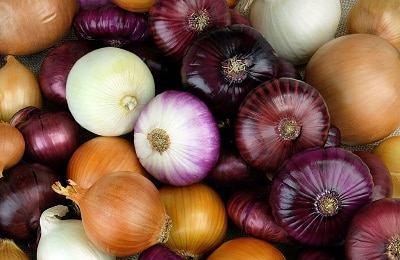 varieties-of-onions-in-virginia