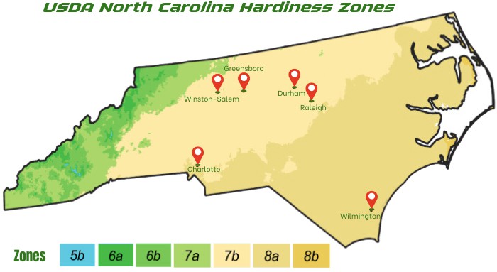 zone-map-for-planting-carrots-in-north-carolina