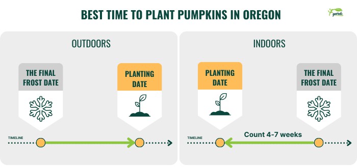 best-time-to-plant-pumpkins-in-oregon