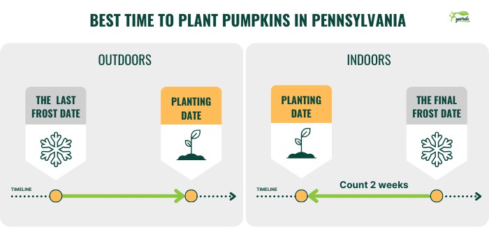 best-time-to-plant-pumpkins-in-pennsylvania
