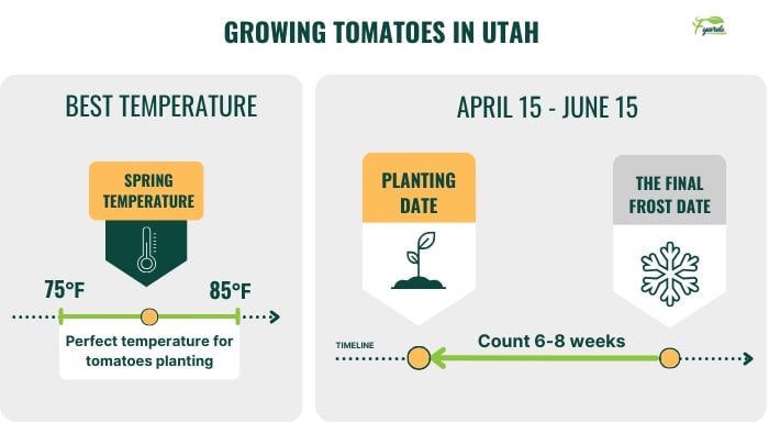 best-time-to-plant-tomatoes-in-utah