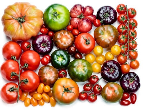 varieties-of-tomatoes-for-planting-in-alabama