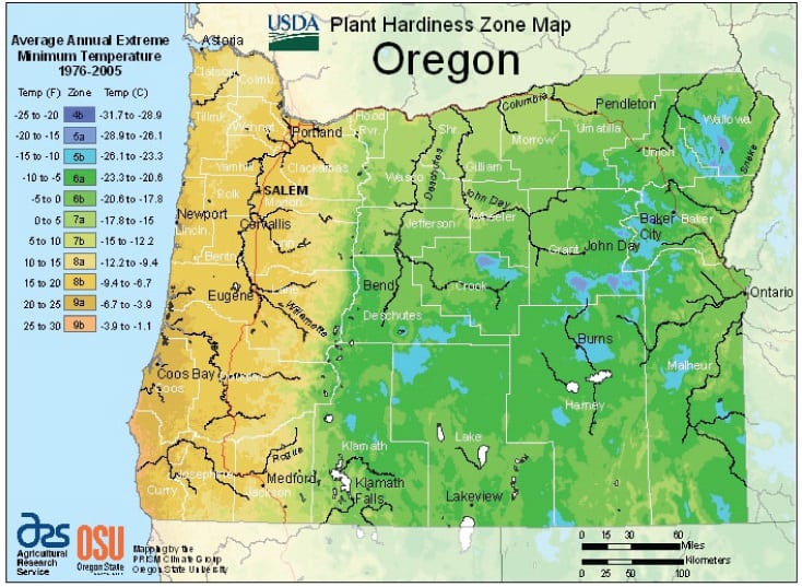 zone-map-for-planting-pumpkins-in-oregon