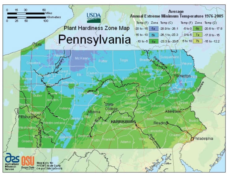 zone-map-for-planting-pumpkins-in-pennsylvania