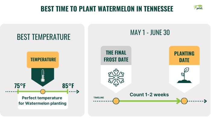 best-time-to-plant-watermelon-in-tennessee