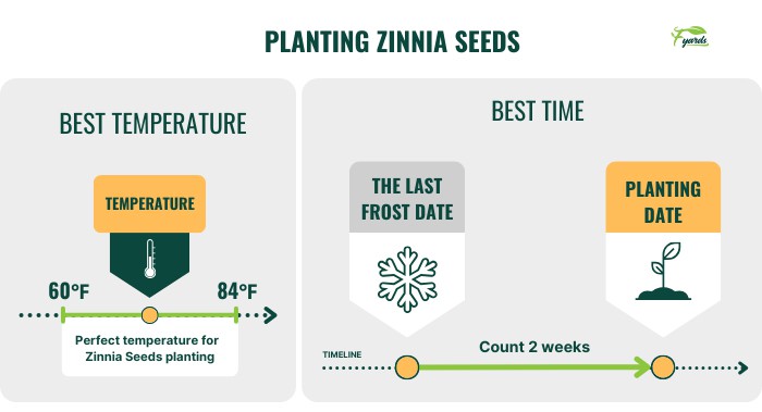 best-time-to-plant-zinnia-seeds